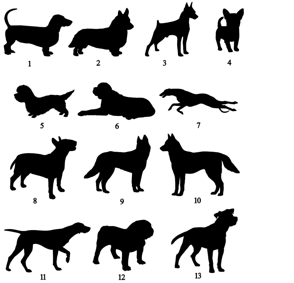dog clip art images