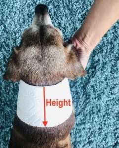 Knitted Dog Cowl Class