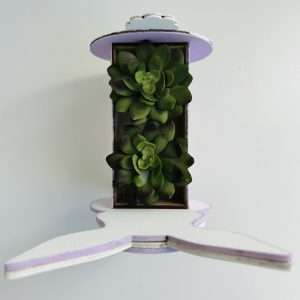Succulent Planters