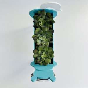 Succulent Planters