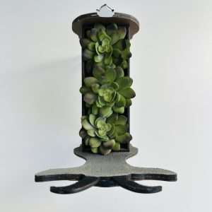 Succulent Planters