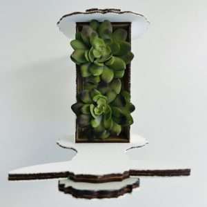 Succulent Planters