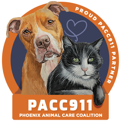 PACC911 logo