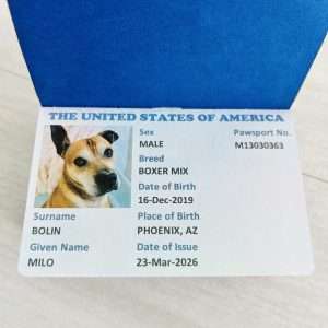 Pet Passport