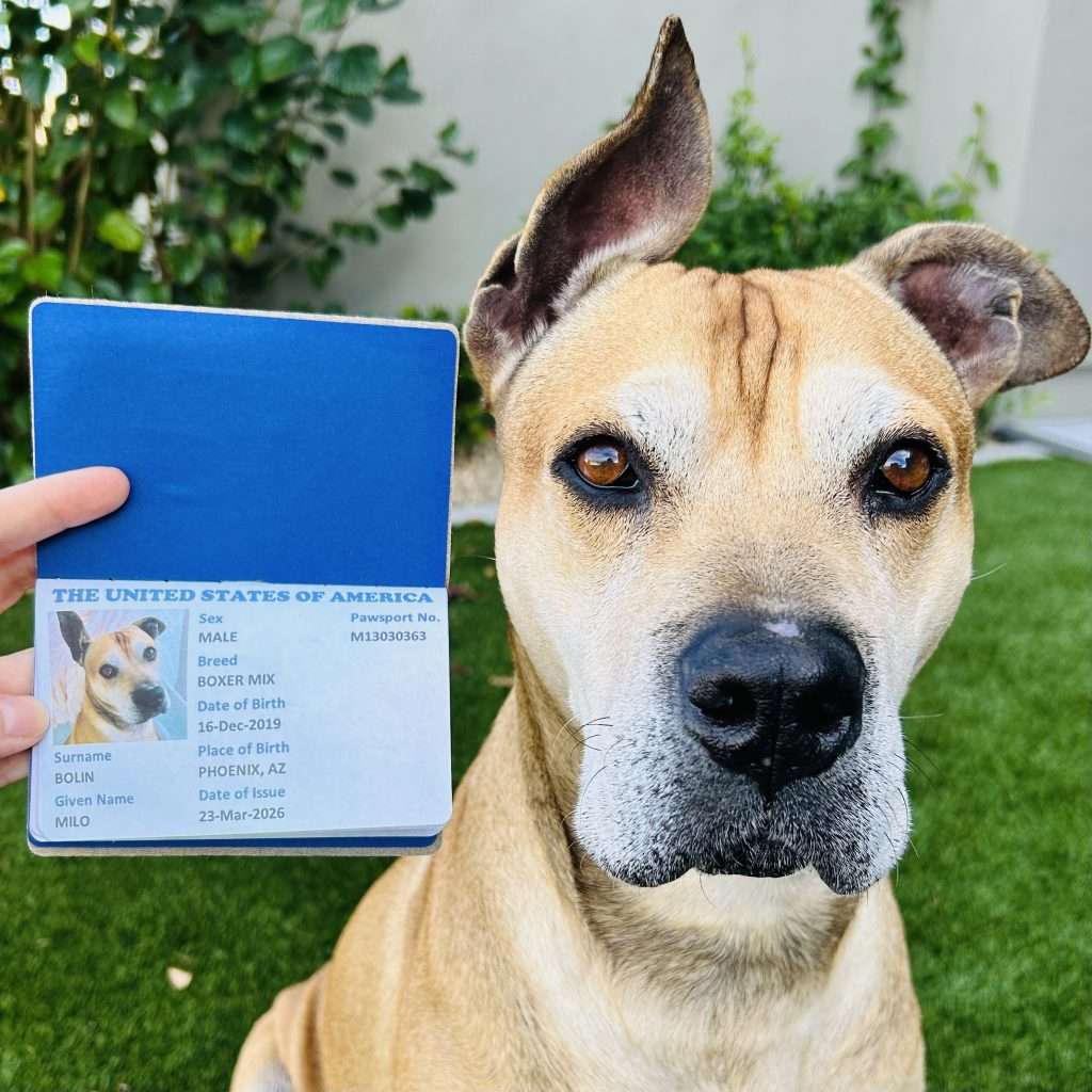 Pet Passport